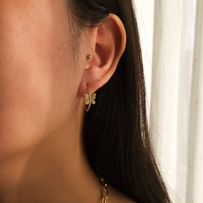 Argollas Mariposa Gold